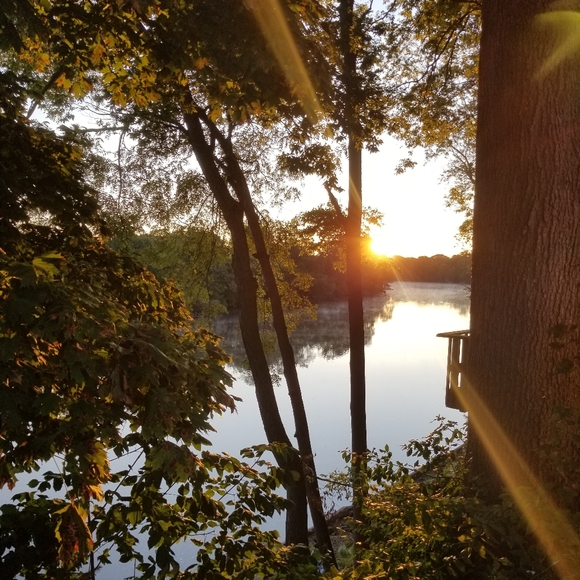 Kelly - Picture 4 of 11